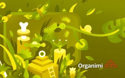 Org Charts, Adaptation & Survival: a Battle Royale | Organimi