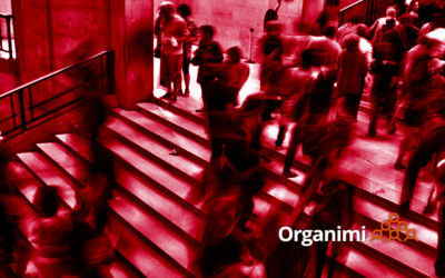 Organimi Alpha 4: Simple. Awesome. Org Charts. Beautiful Too.