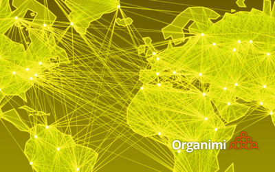 Organization Charts, Competency Grids and Globalization