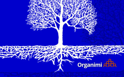 Org charts, decentralization and the law of accelerating returns