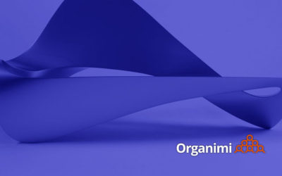 Effective Organizational Design: Defining Form and Function