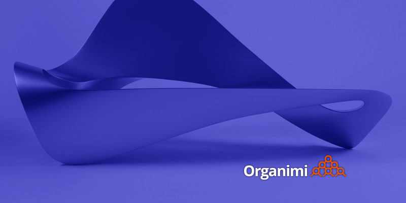 Effective Organizational Design: Defining Form and Function