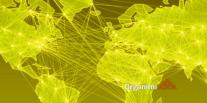 Organization Charts, Competency Grids and Globalization