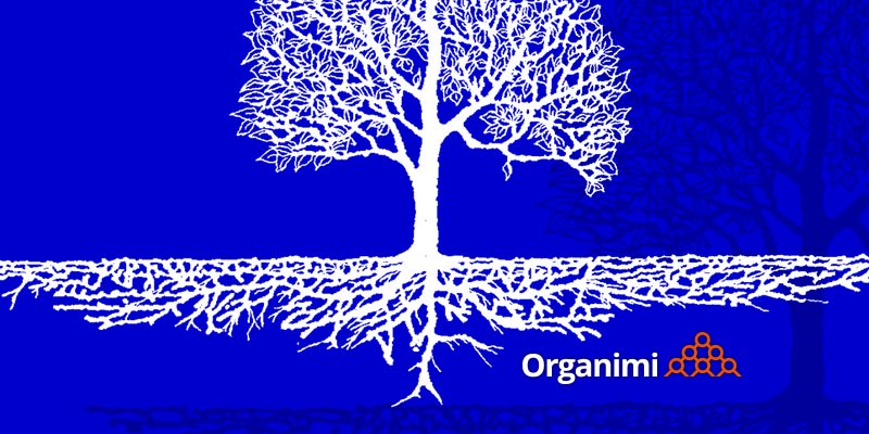 Org charts, decentralization and the law of accelerating returns