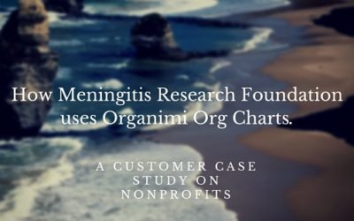 Non Profit Organizational Charts & Organimi