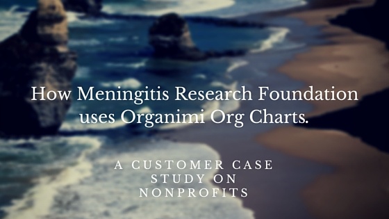 Non Profit Organizational Charts & Organimi