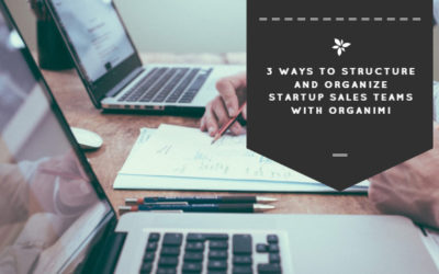 3 Ways to Structure and Organize Startup Sales Teams with Organimi