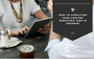 How to Structure Your Content Marketing Team in Organimi