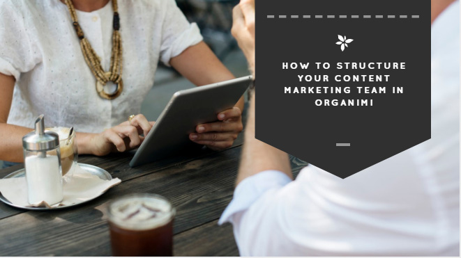 How to Structure Your Content Marketing Team in Organimi