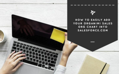 How To Easily Add Your Organimi Sales Org Chart Into SalesForce.com