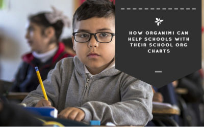 How Organimi Can Help Schools with Their School Org Charts