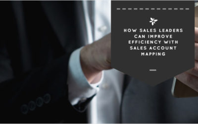 How Sales Leaders Can Improve Efficiency with Sales Account Mapping