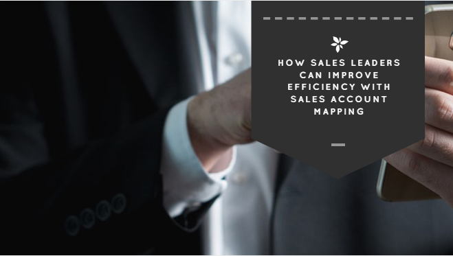 How Sales Leaders Can Improve Efficiency with Sales Account Mapping