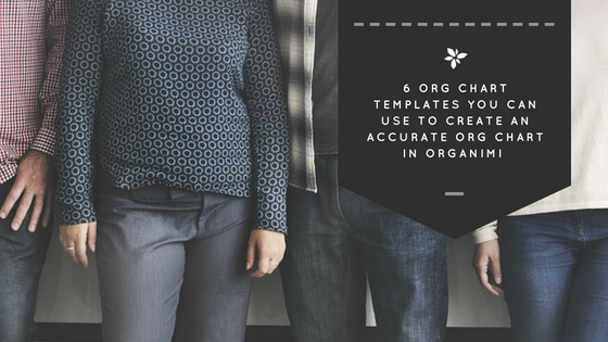 6 Standard Org Chart Templates You Need | Organimi