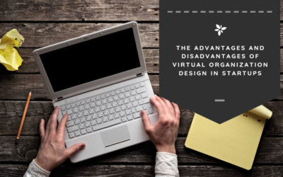 The Advantages and Disadvantages of Virtual Organization Design in Startups