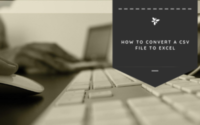 How to Convert a CSV File to Excel