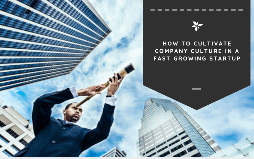 How to Cultivate Startup Culture in a Fast Growing Company