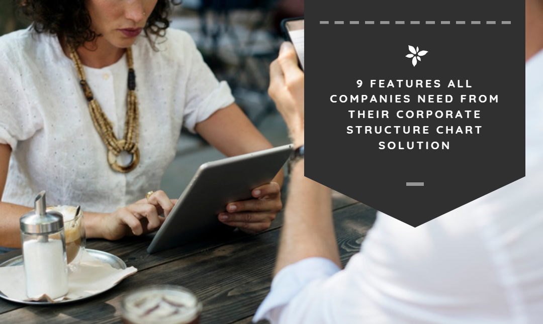 9 Features All Companies Need from Their Corporate Structure Chart Solution