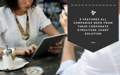 9 Features All Companies Need from Their Corporate Structure Chart Solution