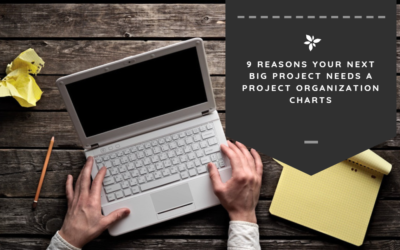 9 Reasons Your Next Big Project Needs a Project Organization Chart