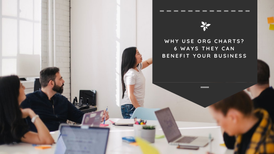 Why Use Org Charts? 6 Ways They Can Benefit Your Business