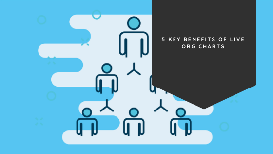 5 Key Benefits of Live Org Charts