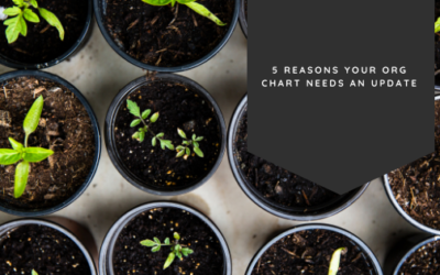 5 Reasons Your Org Chart Needs An Update